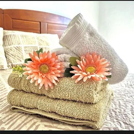 Fabi Apartment Torrevieja